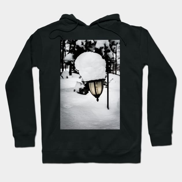 Snow Lantern 1 Hoodie by Robert Alsop